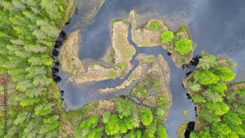 River renaturation. Pure nature with trees and water streams. Abstract top down view on beautiful and fresh green landscape. photo