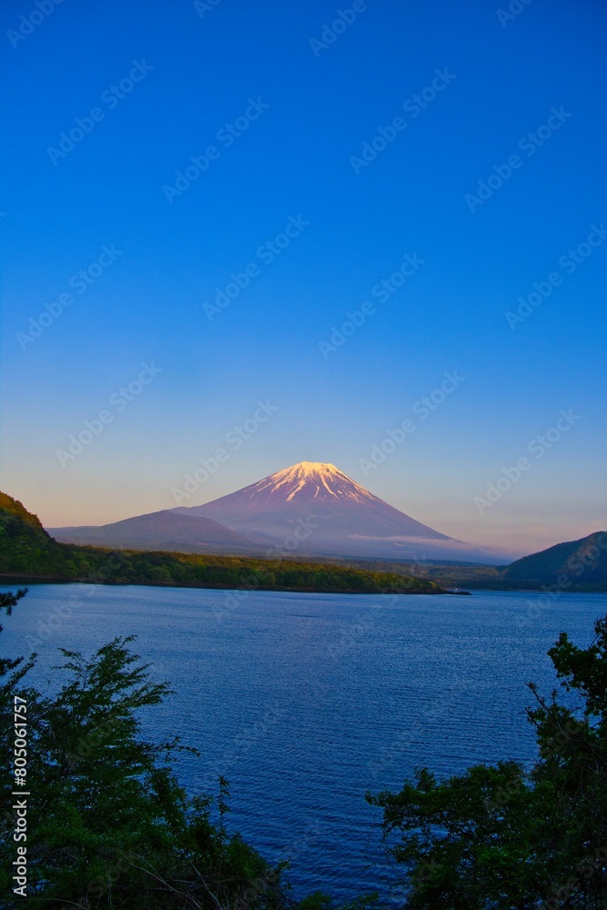 Fototapeta premium 本栖湖から見た富士山
