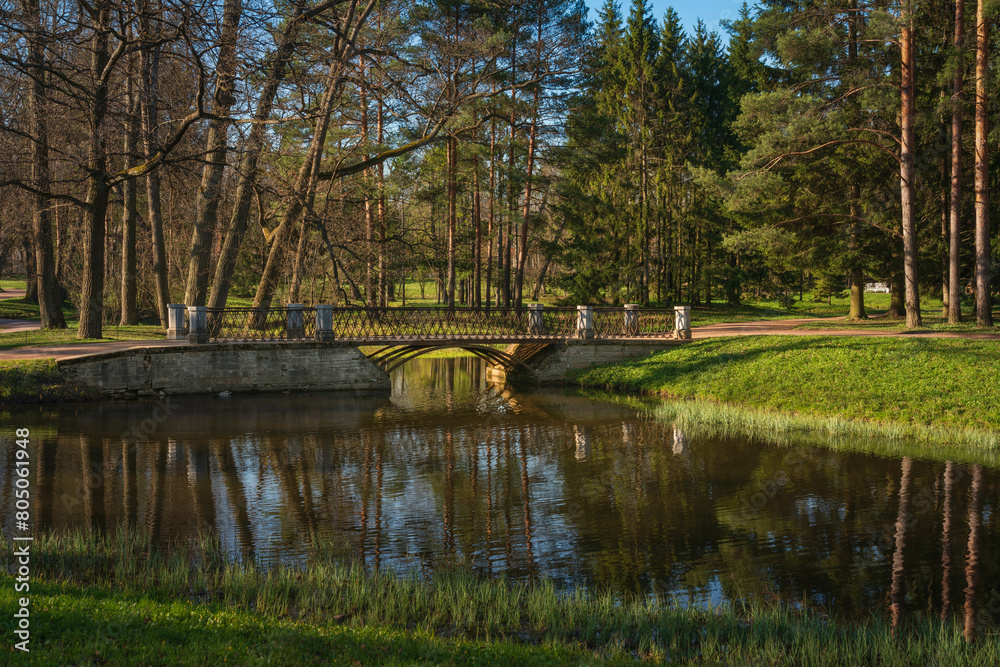 Fototapeta premium View of the bridge on the Swan Ponds in the Catherine Park of Tsarskoye Selo on a sunny spring day, Pushkin, St. Petersburg, Russia