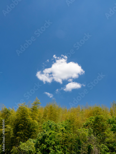 のんびりした空