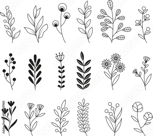 illustration set flowers and leaves, hand drawn line art sketches, collection