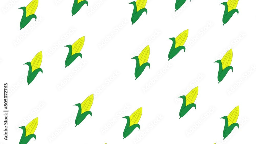 Corn animation with blue screen for keying and white backdrop, 4k Corn animation with blue screen for keying and white backdrop, 4k