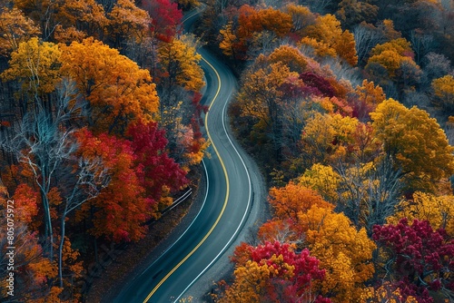 A winding asphalt road framed by autumn trees in a forest landscape