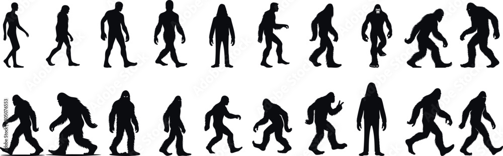 Obraz premium Bigfoot silhouette evolution sequence, mysterious creature, mythical legend, Sasquatch folklore, humanoid ape like, cryptozoology enigma, shadowy figure