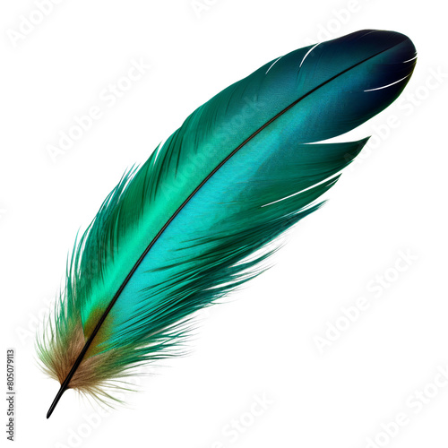 blue green feather isolated on transparent background cutout