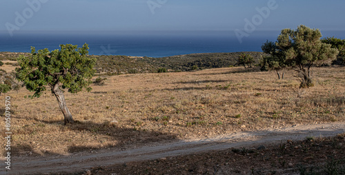 Fotografie View of the Meland plateau, above  Melanda Beach, adjacent east of Pissouri Bay