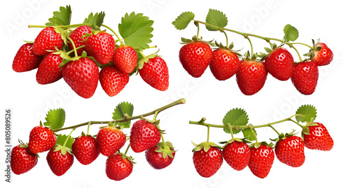 Set of ripe delicious strawberries  cut out