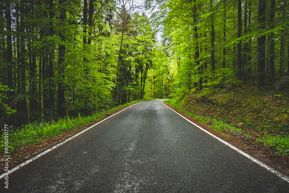 Fototapeta premium forest, road, green, landscape, nature, street, traffic