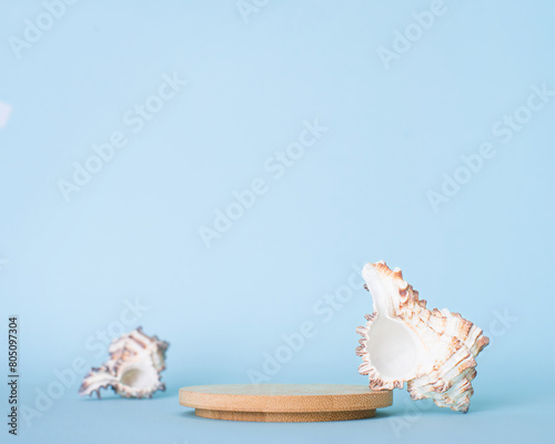 Mockup with seashells. Wooden product presentation or podium on blue background.