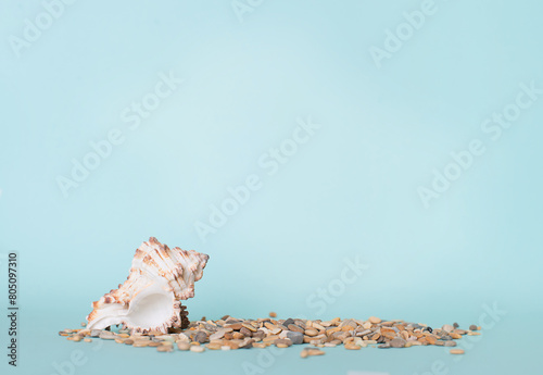 Mock up with pebbles and seashell over blue background.