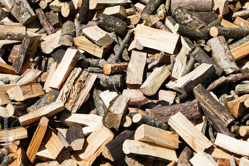 Wood industry background. Chopped wood texture. Stacked tree logs pattern. Pile of raw tree wood in forest. Firewood background.