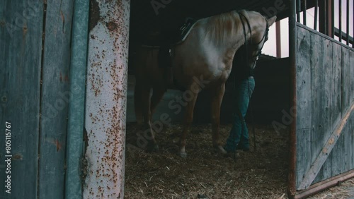 Man with a horse in a stable putting on reigns and a saddle and a halter photo