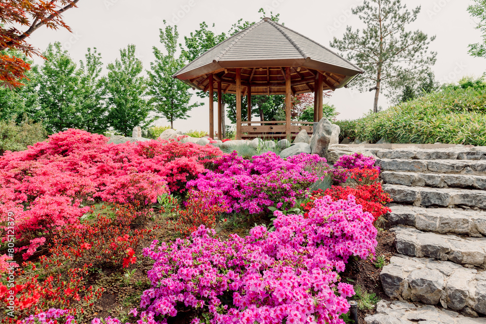 Japanese garden in Krasnodar park. Traditional park, blossom flowers