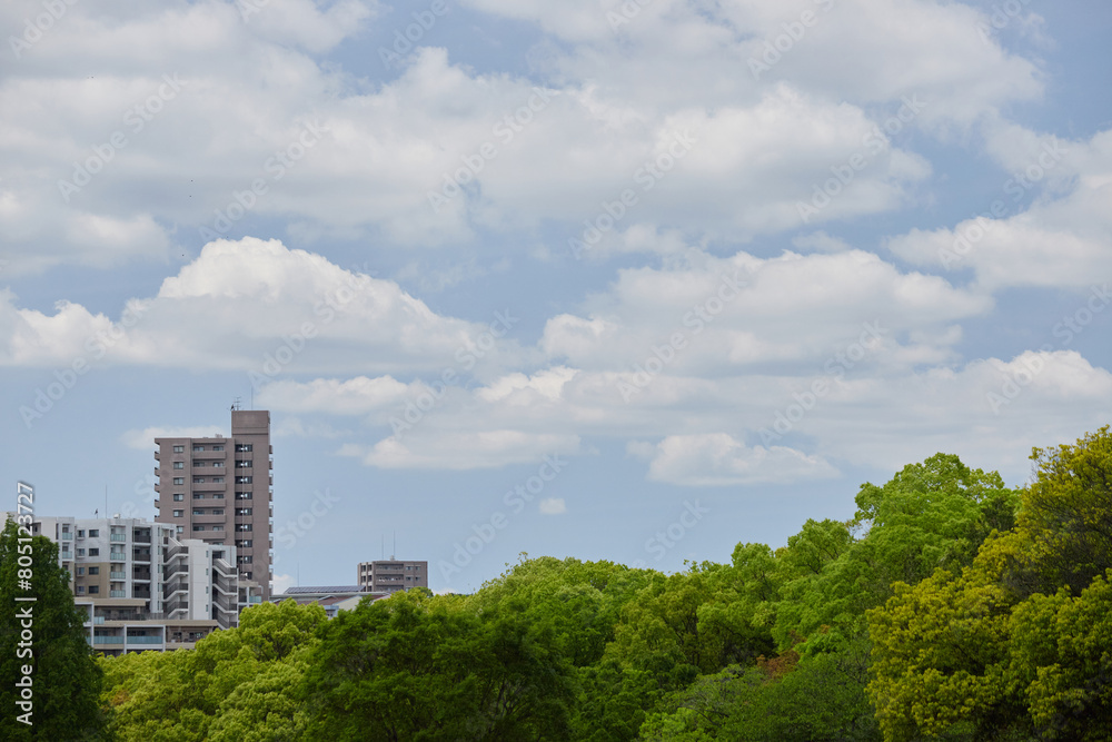 Fototapeta premium 綺麗な青空と新緑の森とマンションの風景