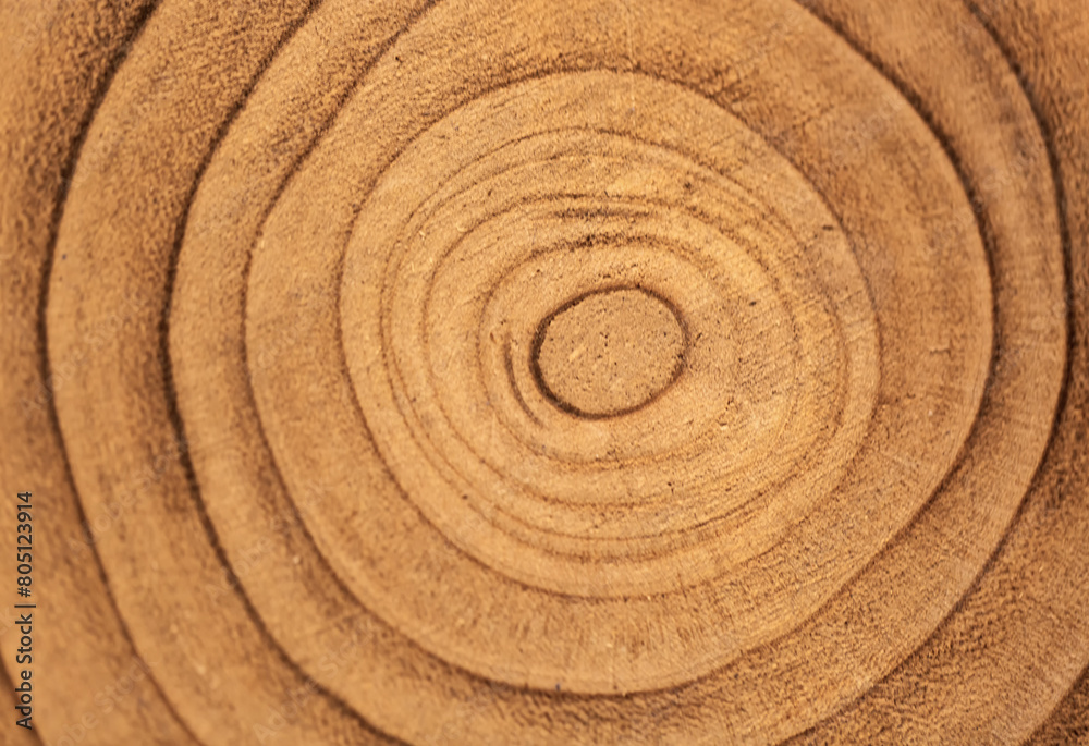 Naklejka premium Close up view of concentric circles etched into a wooden surface. The texture and grain of the wood are clearly visible, revealing natural patterns. Tree rings textured Backgrounds sunshine yellow.