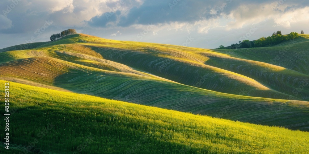 Obraz premium Undulating, rolling green wheat fields