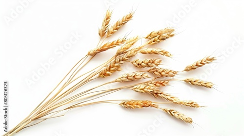 Grain on white background