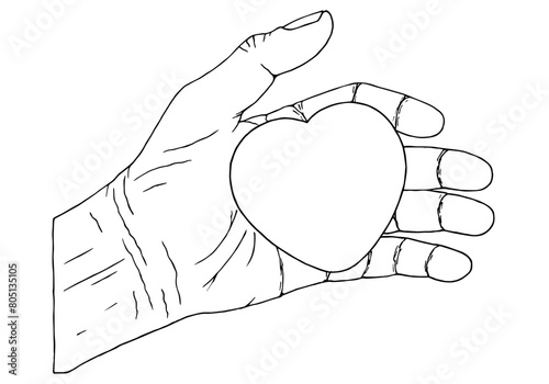 Human heart in hand. Life concept. Take care of life. Heart diseases. Mercy and help. Freehand drawing. Doodle. Hand Drawn. Outline.	