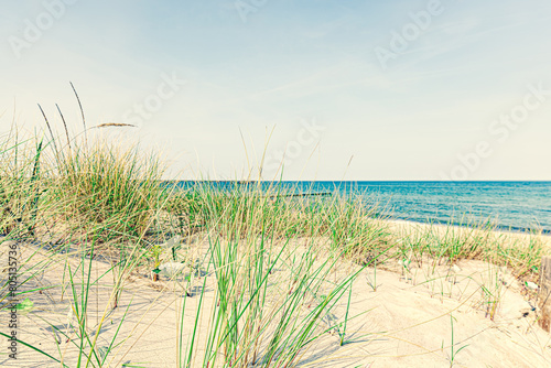 Fototapeta Naklejka Na Ścianę i Meble -  sand dunes and beach in summer. Baltic Sea Germany. Seascape sand Dune Landscape with beach and blue ocean. 