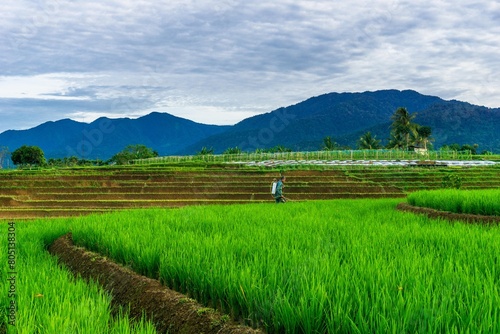 beautiful morning view from Indonesia of mountains and tropical forest