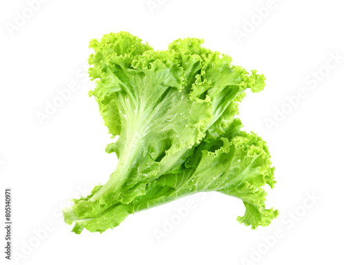 Lettuce leaf isolated. Green leaves pattern ,Salad ingredient
