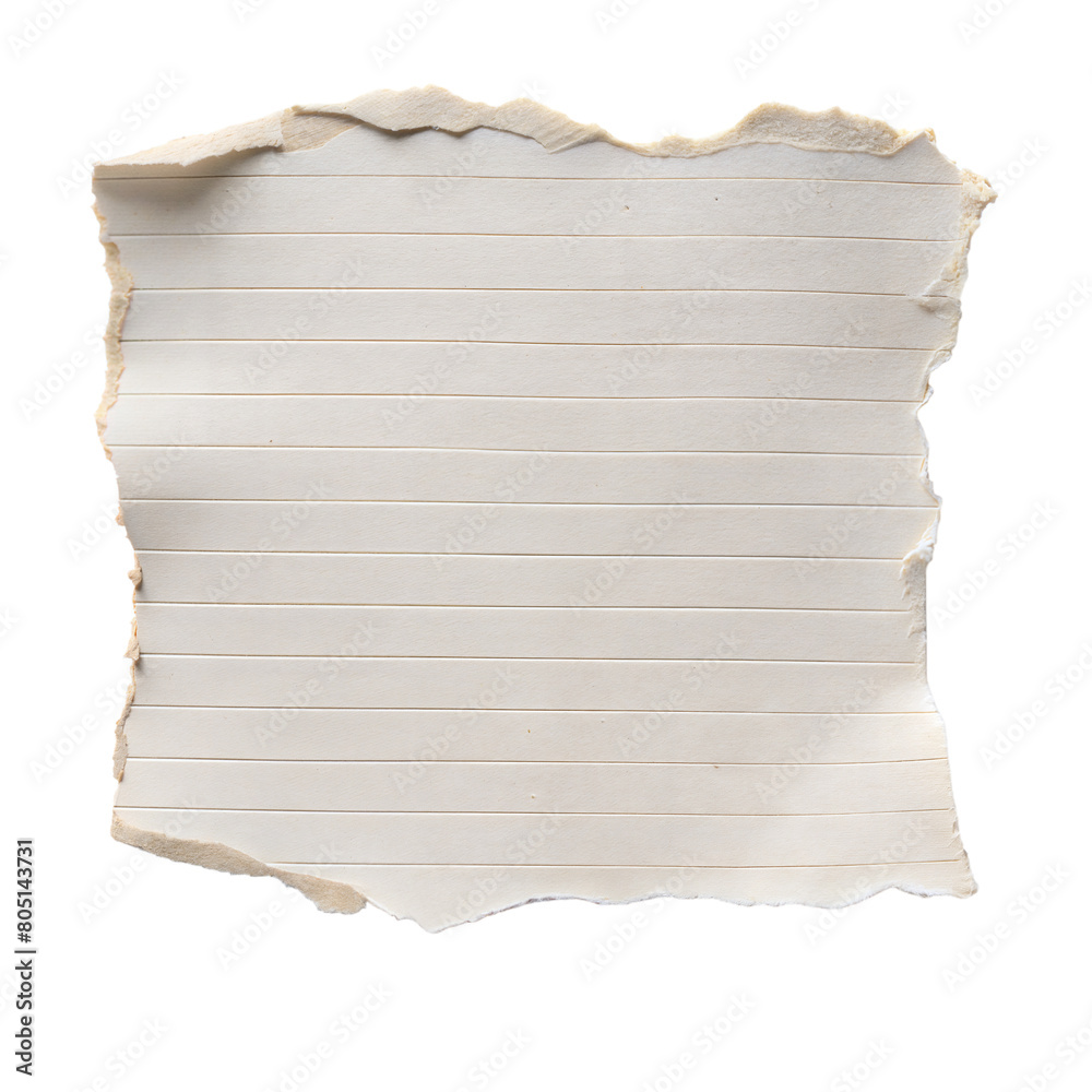 Tattered Edge Paper With Horizontal Lines and Transparent Background