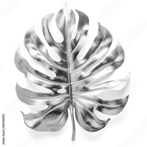 Wallpaper Mural Silver Monstera leaf with shadow isolated on white background Torontodigital.ca