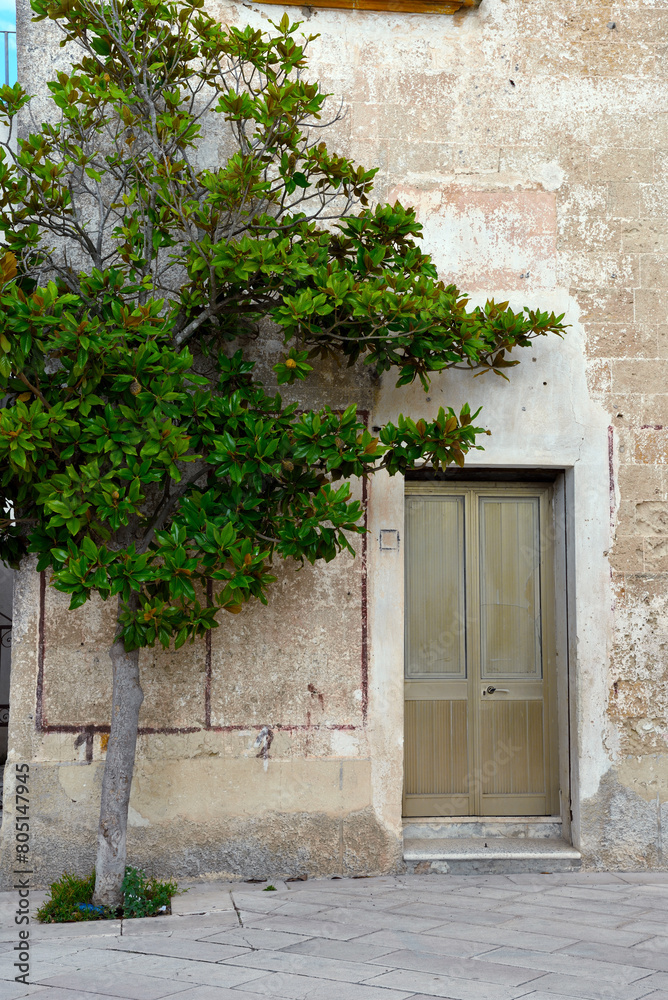 Fototapeta premium Ancient buildings in the historic center of Patù Italy