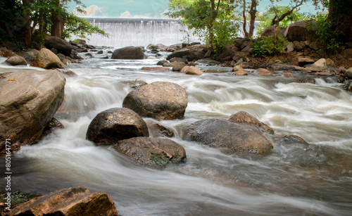 flowing river in the forest