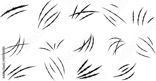 Canvas Print Animals claw scratches icons set
