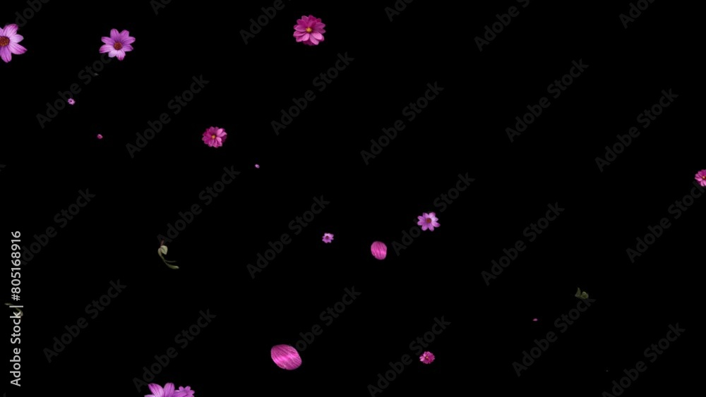 Slow motion of Falling spring flower and leaves with Alpha Channel, Spring season leaves fall motion graphic background
Slow motion of Falling spring flower and leaves with Alpha Channel, Spring season leaves fall motion graphic background