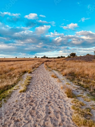 Veluwe 