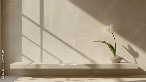   A lone white tulip in a pristine vase  perched on a sill  its shadow projected onto the wall behind