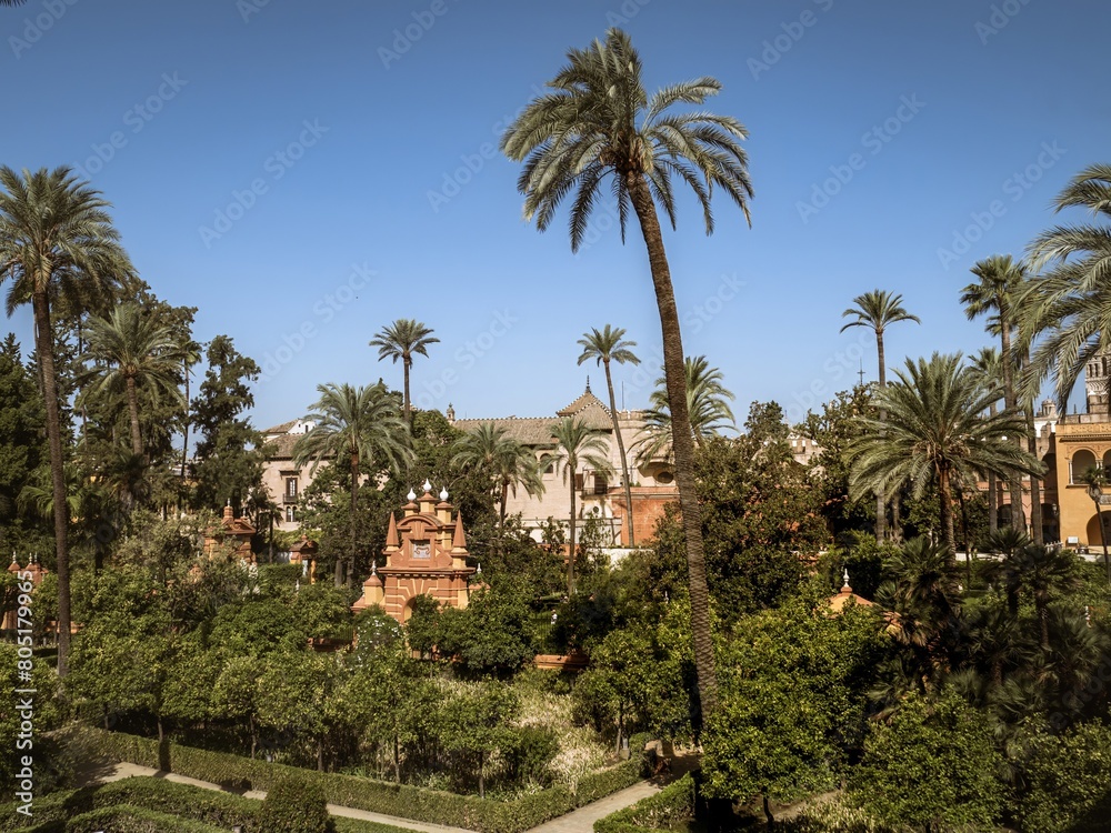 Palm trees and buildings in the gardens of Real Alcazar de Seville