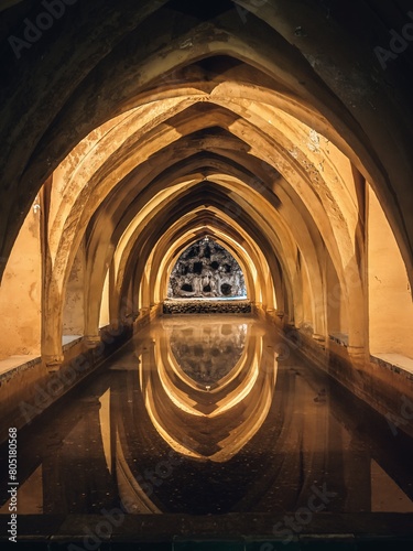 Baths of Lady Mar  a de Padilla in the cellars of the Real Alcazar de Seville