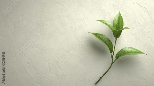   A tight shot of a green plant with leaves adorning its stem against a plain white backdrop  devoid of patterns