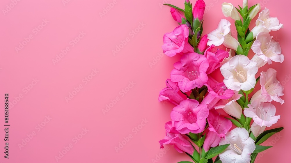   A pink background elegantly showcases a bouquet of pink and white flowers Include text in bottom right corner