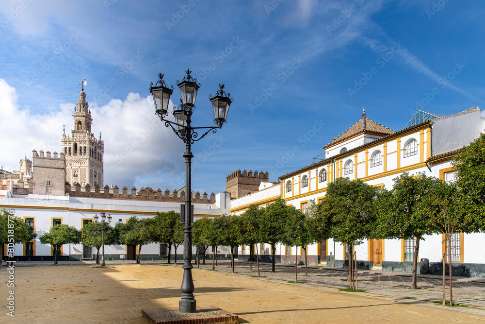 View over Patio de Banderas lined with trees with oranges and the Seville Cathedral in Seville, Spain in the background