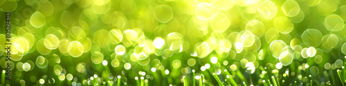 Bright Lime Green Twinkling Lights, Fresh and Zesty Background for Spring and Eco-Friendly Projects photo