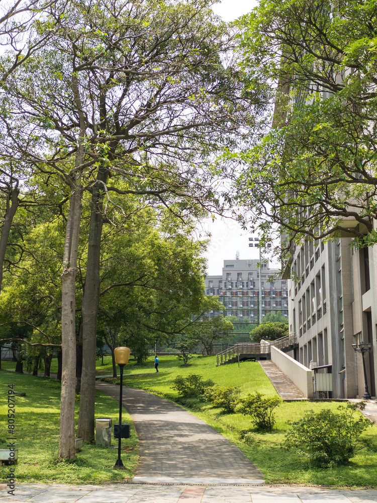 path in the Natioanl Yangming Chiaotung University path in the Natioanl Yangming Chiaotung University