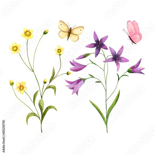 Wildflowers ranunculus, bellflower, butterflies, isolated watercolor illustrations for cards, invitations, print design