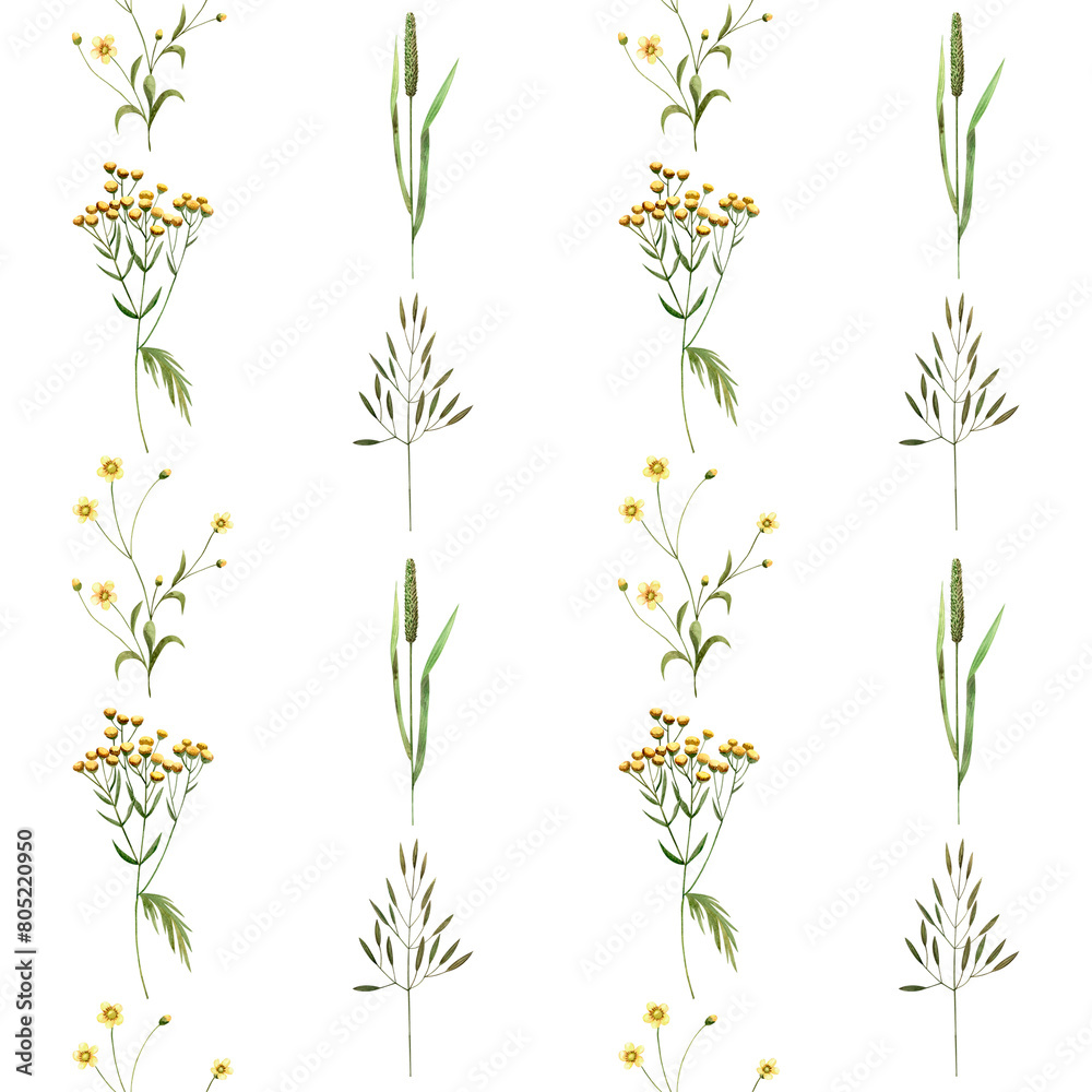 Obraz premium Seamless pattern of wildflowers herbs. Watercolor illustration ranunculus, tansy, printing textile, fabric, packaging