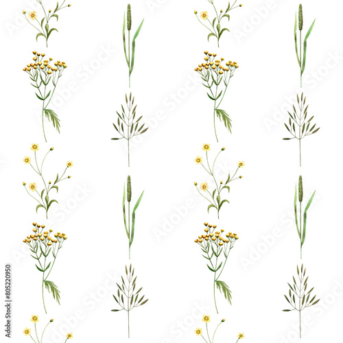 Seamless pattern of wildflowers herbs. Watercolor illustration ranunculus, tansy, printing textile, fabric, packaging
