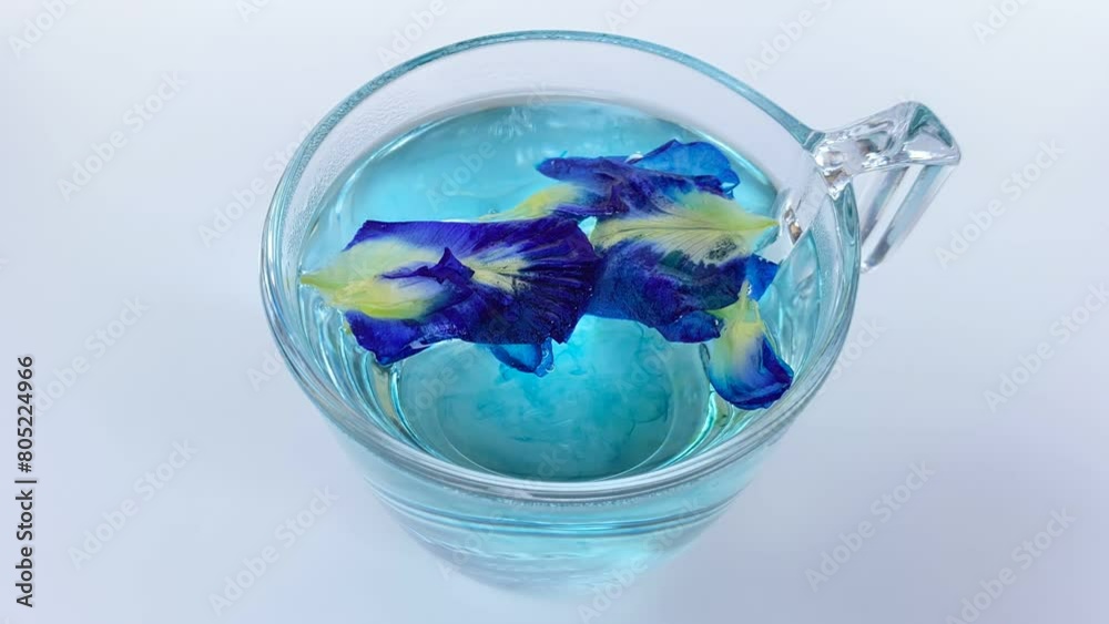 Brewing fresh butterfly pea flower petals, or Clitoria ternatea. Inside transparent glass, isolated on white background. Time lapse diffusion Brewing fresh butterfly pea flower petals, or Clitoria ternatea. Inside transparent glass, isolated on white background. Time lapse diffusion