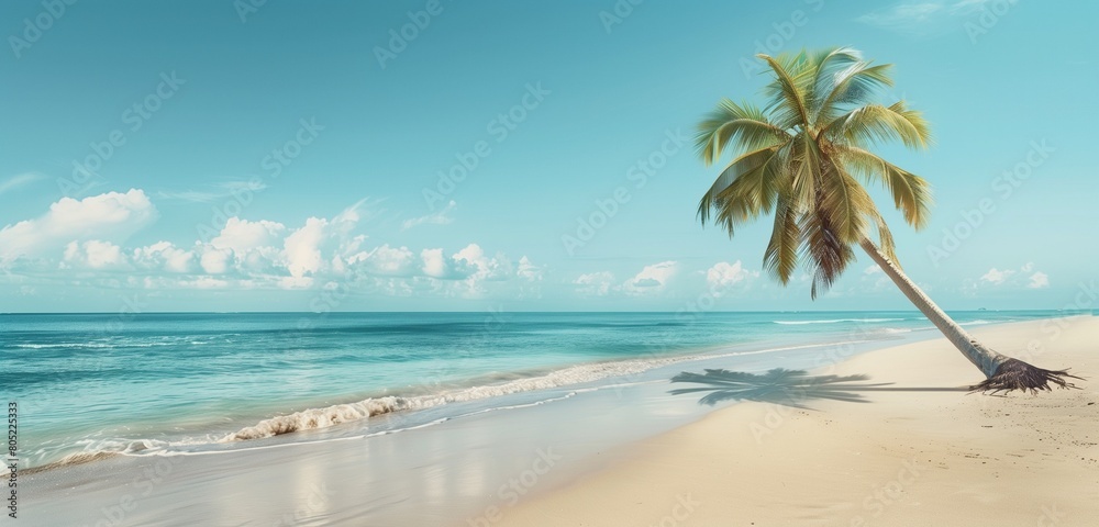 A panoramic view of a secluded island oasis, with palm trees casting long shadows on the shore.