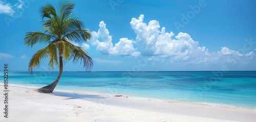 A panoramic view of a secluded island oasis, with palm trees casting long shadows on the shore.