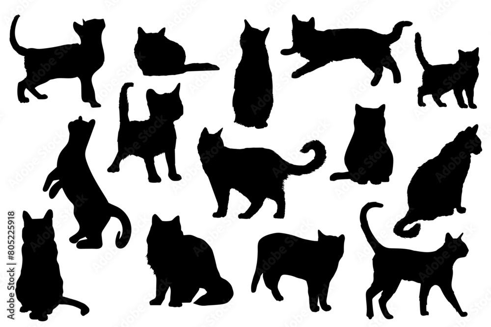 Collection de silhouettes de chats et de chatons - Illustrations détaillées vectorielles - Différentes postures et positions de félins - Poils, fourrures et détails - Tracés à la main - Éditable 