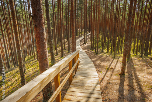 Viru Bog Viru Raba peat swamp  Estonia