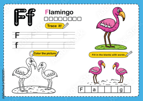Illustration Isolated Animal Alphabet Letter F-Flamingo