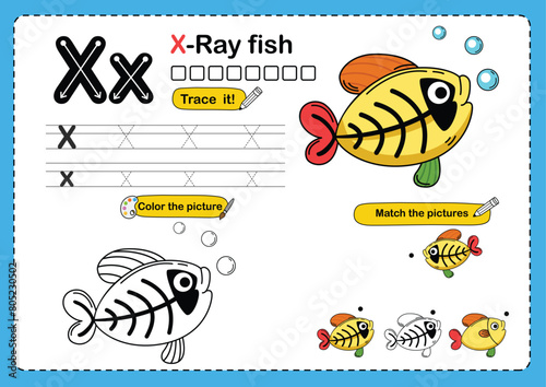 Illustration Isolated Animal Alphabet Letter X-x rayfish